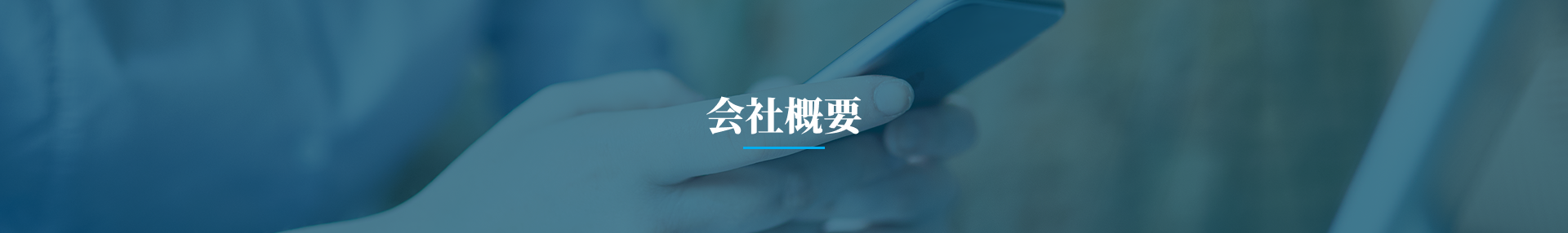 Company Banner